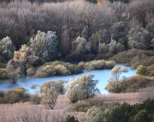 Adriana Varisco (Kim Rossi) - Lago di Doberdò