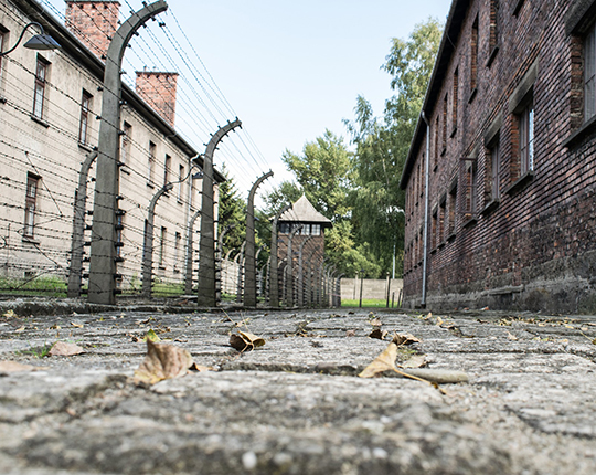 Auschwitz